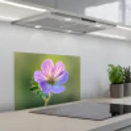 Bloem - Close up - Paars keuken achterwand spatscherm klein -3d_schuin