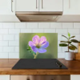 Bloem - Close up - Paars keuken achterwand spatscherm klein -sfeer2