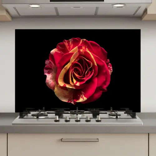 Bloem - Roos - Rood - Zwart keuken achterwand spatscherm klein -3d_website