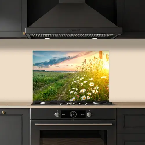 Bloemen - Madelief - Natuur - Zon - Horizon keuken achterwand spatscherm klein -sfeer1