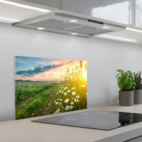 Bloemen - Madelief - Natuur - Zon - Horizon keuken achterwand spatscherm klein -3d_schuin