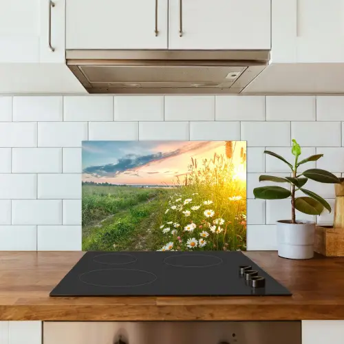 Bloemen - Madelief - Natuur - Zon - Horizon keuken achterwand spatscherm klein -sfeer2