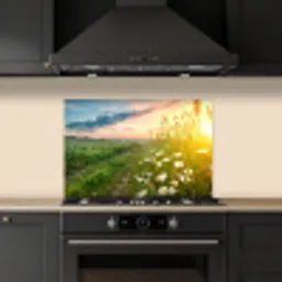 Bloemen - Madelief - Natuur - Zon - Horizon keuken achterwand spatscherm klein -sfeer1