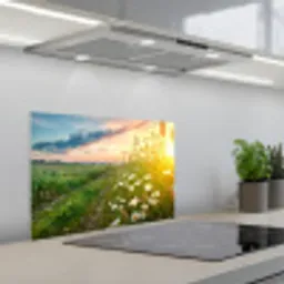 Bloemen - Madelief - Natuur - Zon - Horizon keuken achterwand spatscherm klein -3d_schuin