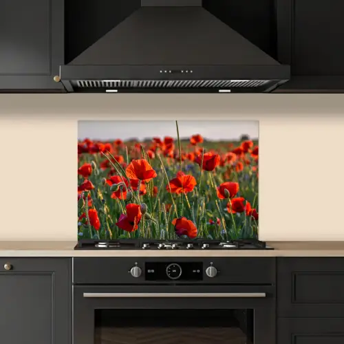 Bloemen - Klaprozen - Natuur - Rood keuken achterwand spatscherm klein -sfeer1