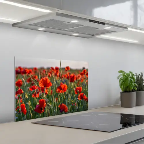 Bloemen - Klaprozen - Natuur - Rood keuken achterwand spatscherm klein -3d_schuin