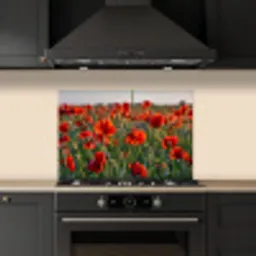 Bloemen - Klaprozen - Natuur - Rood keuken achterwand spatscherm klein -sfeer1