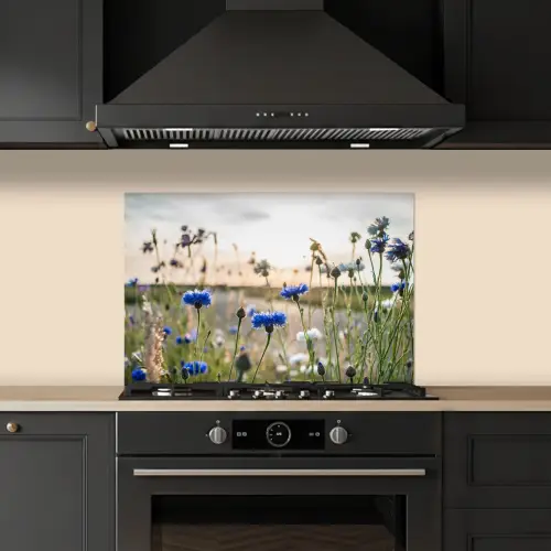 Bloemen - Zomer - Korenbloem - Blauw - Zon - Wolken keuken achterwand spatscherm klein -sfeer1