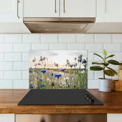 Bloemen - Zomer - Korenbloem - Blauw - Zon - Wolken keuken achterwand spatscherm klein -sfeer2