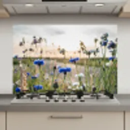 Bloemen - Zomer - Korenbloem - Blauw - Zon - Wolken keuken achterwand spatscherm klein -3d_website