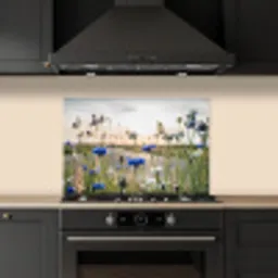 Bloemen - Zomer - Korenbloem - Blauw - Zon - Wolken keuken achterwand spatscherm klein -sfeer1