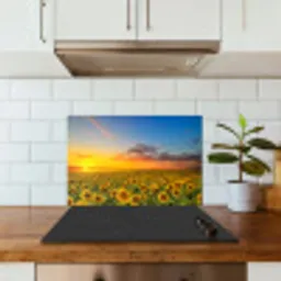 Bloemen - Zonnebloem - Zonsondergang - Nacht - Oranje keuken achterwand spatscherm klein -sfeer2
