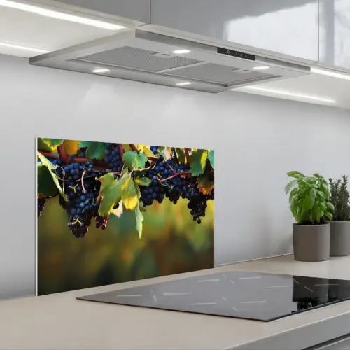 Druiven - Wijn - Natuur - Groen keuken achterwand spatscherm klein -3d_schuin
