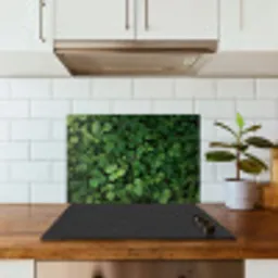 Groen - Bladeren - Kartel - Zonlicht keuken achterwand spatscherm klein -sfeer2