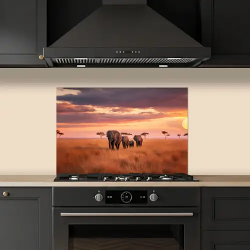 Groep olifanten - Open vlakte - Zon keuken achterwand spatscherm klein -sfeer1