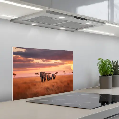 Groep olifanten - Open vlakte - Zon keuken achterwand spatscherm klein -3d_schuin