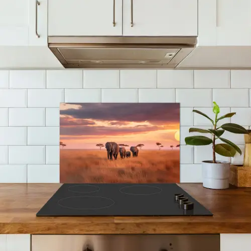 Groep olifanten - Open vlakte - Zon keuken achterwand spatscherm klein -sfeer2