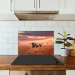 Groep olifanten - Open vlakte - Zon keuken achterwand spatscherm klein -sfeer2