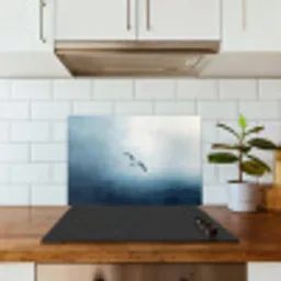 Meeuw - Wit - Zee - Mistig keuken achterwand spatscherm klein -sfeer2