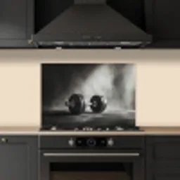Halter - Gewichten - Zwart keuken achterwand spatscherm klein -sfeer1