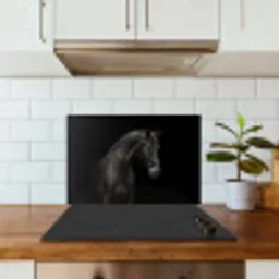 Paard - Dieren - Zwart - Portret keuken achterwand spatscherm klein -sfeer2