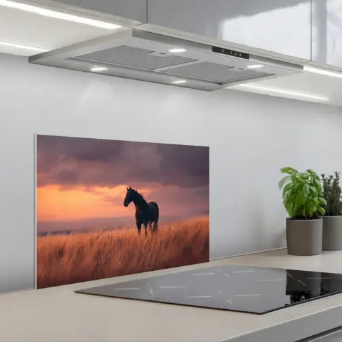 Paard - Wolken - Open veld keuken achterwand spatscherm klein -3d_schuin