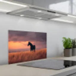 Paard - Wolken - Open veld keuken achterwand spatscherm klein -3d_schuin