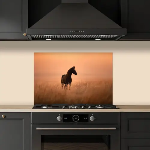 Paard - Grasveld - Zonsondergang keuken achterwand spatscherm klein -sfeer1