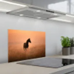Paard - Grasveld - Zonsondergang keuken achterwand spatscherm klein -3d_schuin