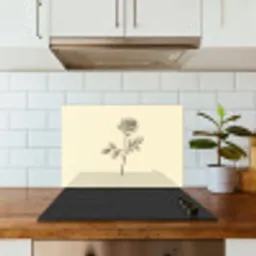 Illustratie - Zwart - Roos keuken achterwand spatscherm klein -sfeer2