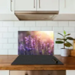 Lavendelbloemen - Paars - Zonlicht keuken achterwand spatscherm klein -sfeer2