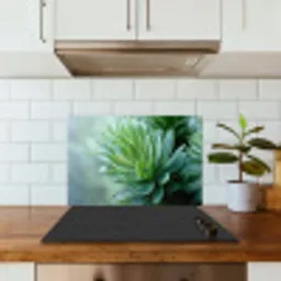 Blad - Plant - Groen - Textuur keuken achterwand spatscherm klein -sfeer2