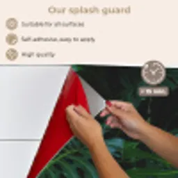 Bladeren - Tropisch - Monstera - Jungle keuken achterwand spatscherm middel -spatscherm_EN