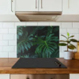 Bladeren - Tropisch - Monstera - Jungle keuken achterwand spatscherm middel -sfeer2