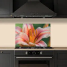 Lelie - Close up - Lichtroze keuken achterwand spatscherm klein -sfeer1