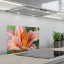 Lelie - Close up - Lichtroze keuken achterwand spatscherm klein -3d_schuin