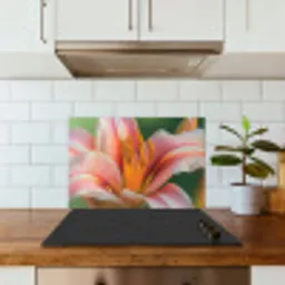 Lelie - Close up - Lichtroze keuken achterwand spatscherm klein -sfeer2
