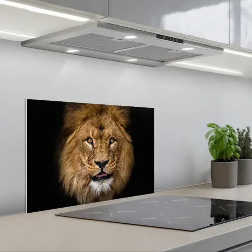 Leeuw - Portret - Zwart - Dieren keuken achterwand spatscherm klein -3d_schuin