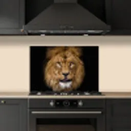 Leeuw - Portret - Zwart - Dieren keuken achterwand spatscherm klein -sfeer1