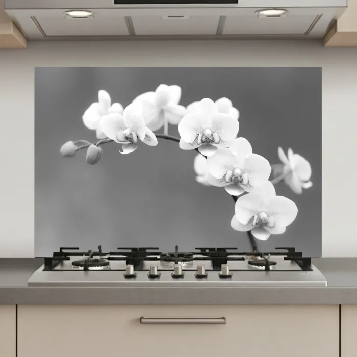 Monochrome Orchideeënpracht keuken achterwand spatscherm klein -3d_website