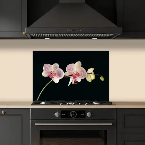 Orchidee - Bloemen - Zwart - Roze - Knoppen keuken achterwand spatscherm klein -sfeer1