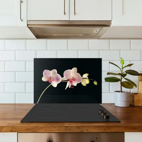 Orchidee - Bloemen - Zwart - Roze - Knoppen keuken achterwand spatscherm klein -sfeer2
