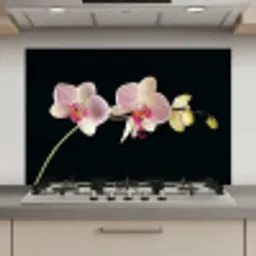Orchidee - Bloemen - Zwart - Roze - Knoppen keuken achterwand spatscherm klein -3d_website