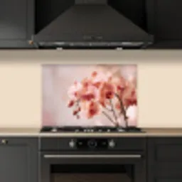 Orchidee - Bloemen - Roze - Bloemblaadjes keuken achterwand spatscherm klein -sfeer1