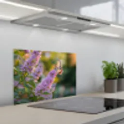 Sierlijke - Vlinder - Paarse - Bloemen keuken achterwand spatscherm klein -3d_schuin