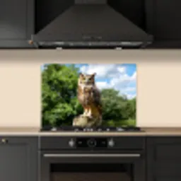 Uil - Boomstronk - Bos - Lucht keuken achterwand spatscherm klein -sfeer1