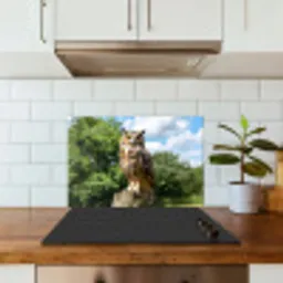 Uil - Boomstronk - Bos - Lucht keuken achterwand spatscherm klein -sfeer2