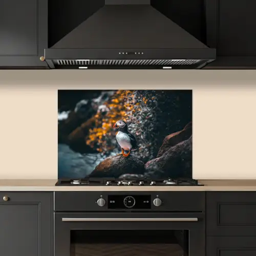 Papegaai - Vogel - Rots - Wit keuken achterwand spatscherm klein -sfeer1