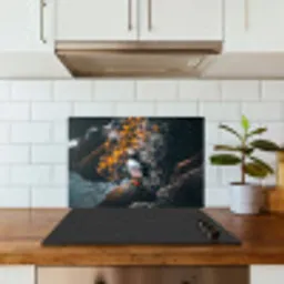 Papegaai - Vogel - Rots - Wit keuken achterwand spatscherm klein -sfeer2