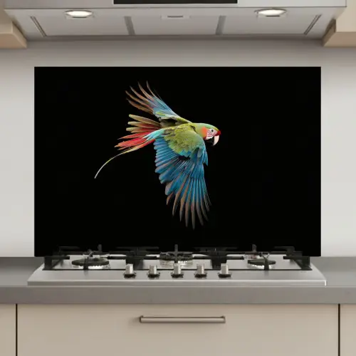 Papegaai - Kleurrijk - Vleugels - Sierlijk keuken achterwand spatscherm klein -3d_website